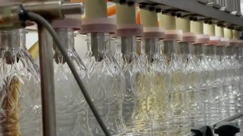 精準與均質 機械化飲料生產的標準化革命